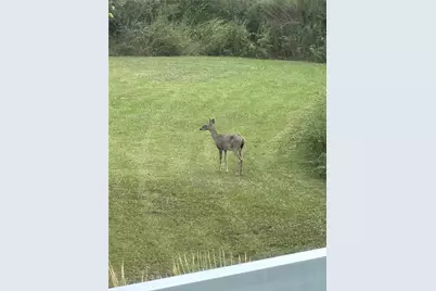 540 Bayou Avenue, Anahuac, TX 77514 - Photo 30