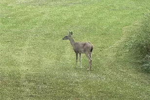 540 Bayou Ave, Anahuac, TX 77514 - Photo 30