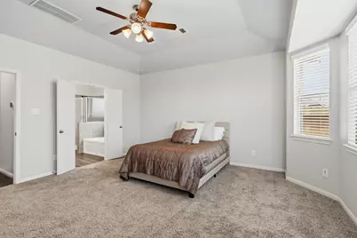 32209 McKinley Run Drive, Hockley, TX 77447 - Photo 20