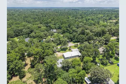 30803 Kate Drive, Magnolia, TX 77355 - Photo 46