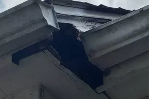 3611 Darnell Ct, Missouri City, TX 77459 - Photo 2