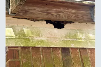 3611 Darnell Court, Missouri City, TX 77459 - Photo 20