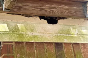 3611 Darnell Ct, Missouri City, TX 77459 - Photo 20