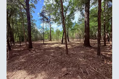 0 Daniel Street, Magnolia, TX 77354 - Photo 12