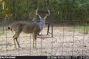 285 Private Rd 3420, Jewett, TX 75846 - Photo 16