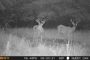 285 Private Rd 3420, Jewett, TX 75846 - Photo 14