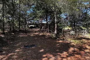285 Private Rd 3420, Jewett, TX 75846 - Photo 4