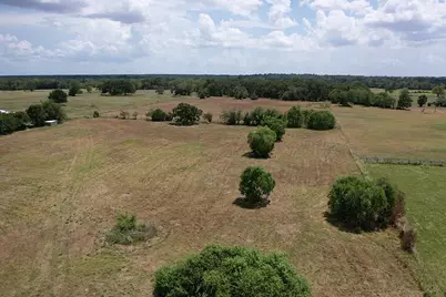 14 Ac Halliday Lane, Madisonville, TX 77864 - Photo 2