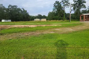 217 Albritton Gully Rd, Hankamer, TX 77560 - Photo 6