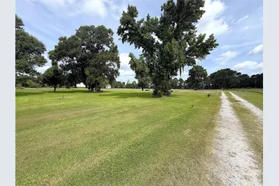 247 S Skains Chapel Road, Trinity, TX 75862 - Photo 6
