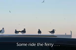 1211 W Canal, Crystal Beach, TX 77650 - Photo 38