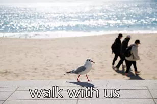 1211 W Canal, Crystal Beach, TX 77650 - Photo 38