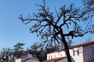 7206 Capitol St, Houston, TX 77011 - Photo 4