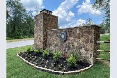 10550 Link Tree Lane, Willis, TX 77378 - Photo 10