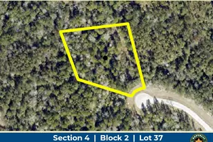 10550 Link Tree Ln, Willis, TX 77378 - Photo 1