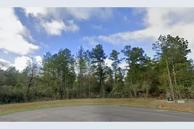 10550 Link Tree Lane, Willis, TX 77378 - Photo 8