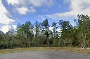 10550 Link Tree Ln, Willis, TX 77378 - Photo 8