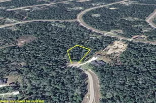 10550 Link Tree Ln, Willis, TX 77378 - Photo 4