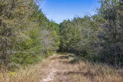 Tbd (+/-69.227 Acres) St Hwy 21 E, Midway, TX 75852 - Photo 18
