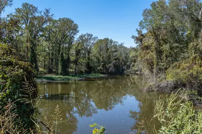 Tbd (+/-69.227 Acres) St Hwy 21 E, Midway, TX 75852 - Photo 2