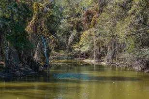 Tbd (+/-69 227 Acres) St Hwy 21 E, Midway, TX 75852 - Photo 1