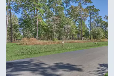 4437 Holly Trail Road, Montgomery, TX 77316 - Photo 10