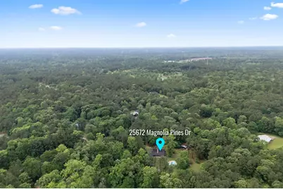 25672 Magnolia Pines Drive, Magnolia, TX 77355 - Photo 40