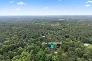25672 Magnolia Pines Dr, Magnolia, TX 77355 - Photo 40