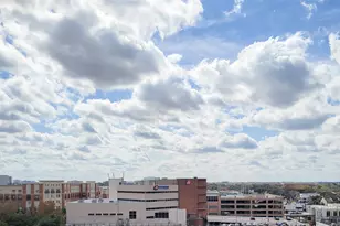 2520 Robinhood, Houston, TX 77005 - Photo 40