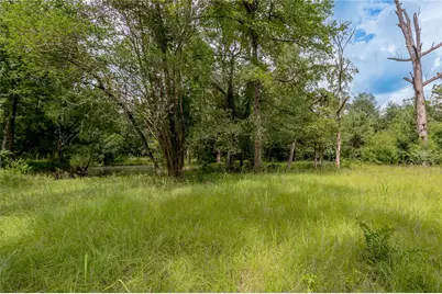 438 Cody Road, Groveton, TX 75845 - Photo 16