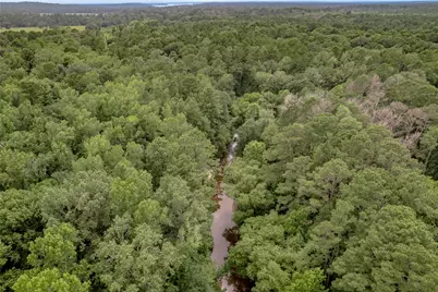438 Cody Road, Groveton, TX 75845 - Photo 28