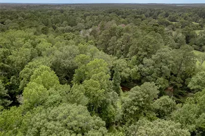 438 Cody Road, Groveton, TX 75845 - Photo 42