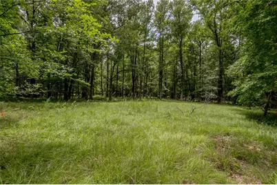 438 Cody Road, Groveton, TX 75845 - Photo 14