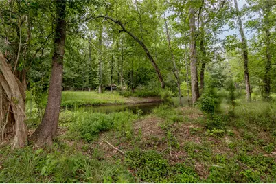 438 Cody Road, Groveton, TX 75845 - Photo 10