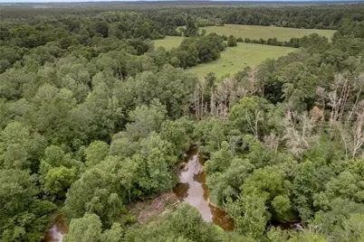 438 Cody Road, Groveton, TX 75845 - Photo 30