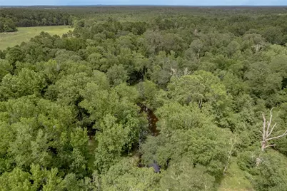 438 Cody Road, Groveton, TX 75845 - Photo 40