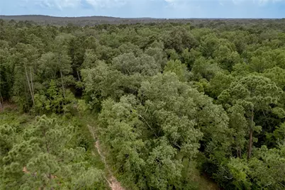 438 Cody Road, Groveton, TX 75845 - Photo 44