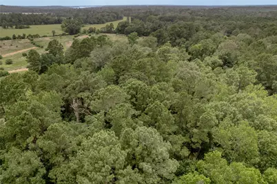 438 Cody Road, Groveton, TX 75845 - Photo 34