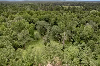 438 Cody Road, Groveton, TX 75845 - Photo 38