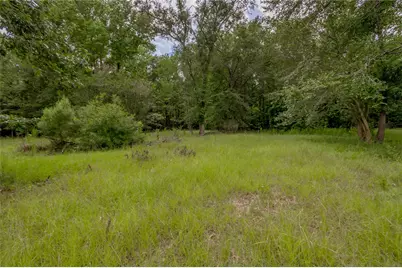 438 Cody Road, Groveton, TX 75845 - Photo 8