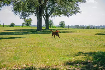 9909 Latium Cemetery Rd - Tract 3, Burton, TX 77835 - Photo 14