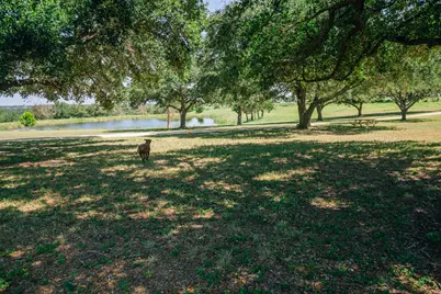 9909 Latium Cemetery Rd - Tract 3, Burton, TX 77835 - Photo 8