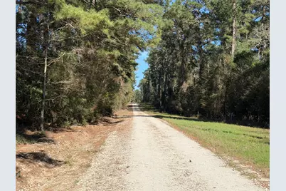 4748 County Road 148, Bedias, TX 77831 - Photo 4