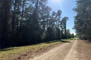 4748 County Rd 148, Bedias, TX 77831 - Photo 1