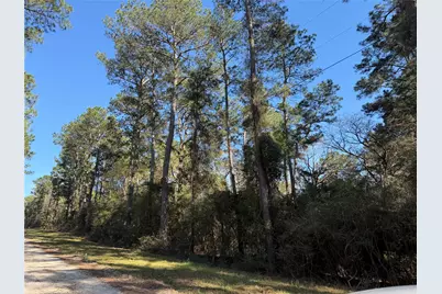 4748 County Road 148, Bedias, TX 77831 - Photo 2