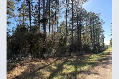 4748 County Road 148, Bedias, TX 77831 - Photo 10