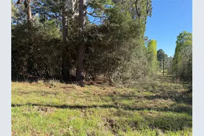 4748 County Road 148, Bedias, TX 77831 - Photo 8