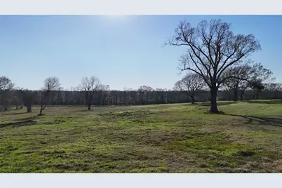 4732 US Highway 59 S, Livingston, TX 77351 - Photo 8
