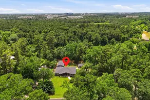 1302 Spring Creek Dr, Spring, TX 77386 - Photo 46
