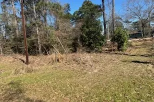171 Cherry Tree, Livingston, TX 77351 - Photo 1